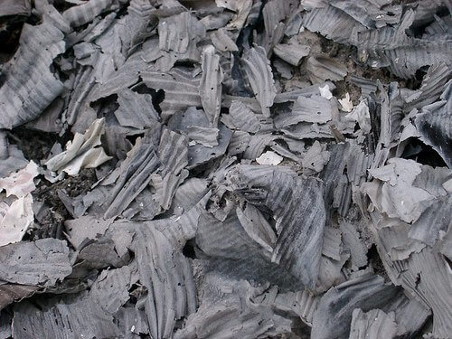 Cenere di legno consigli di giardinaggio