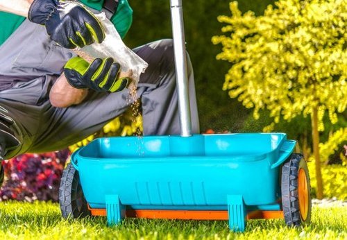 Consigli di giardinaggio fertilizzanti naturali