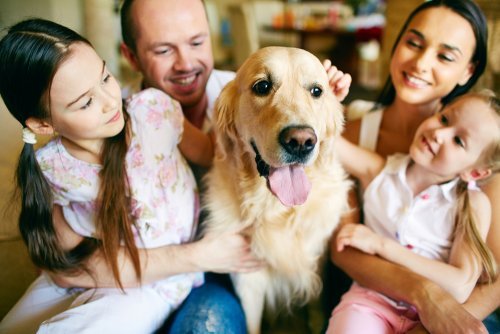 Cucciolo in famiglia