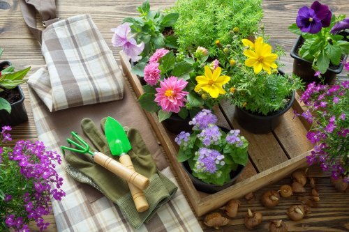 Attrezzi per il giardinaggio