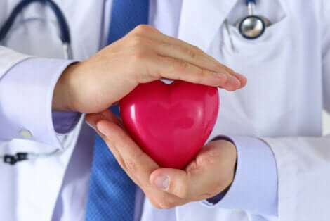 Cuore