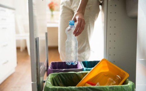 Persona getta una bottiglia di plastica tra i rifiuti