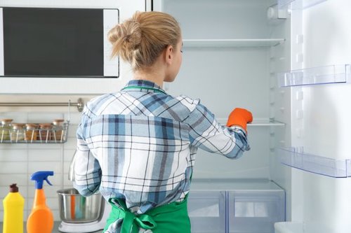 Pulire e disinfettare il frigorifero con prodotti ecologici