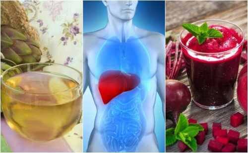 Proteggere il fegato con 5 rimedi naturali