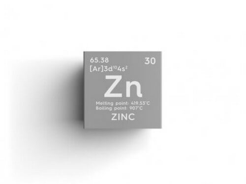 Alimenti ricchi di zinco: quali sono e quali benefici
