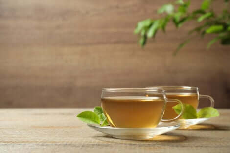Tè verde come trattamento per la gastrite