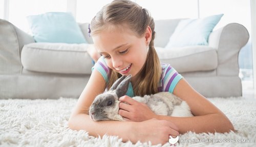 Bambina con coniglio