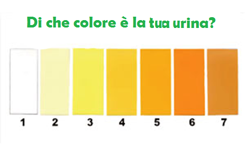 Colore delle urine