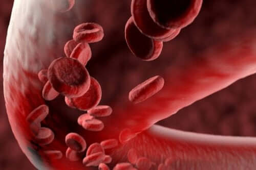 Flusso sanguigno vasculite