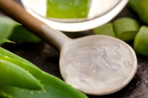 Gel di aloe vera per fermare la caduta dei capelli