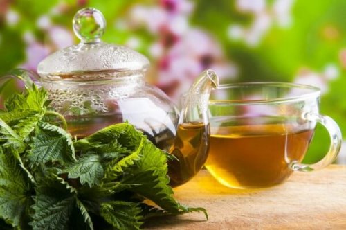 Infuso con foglie di ortica
