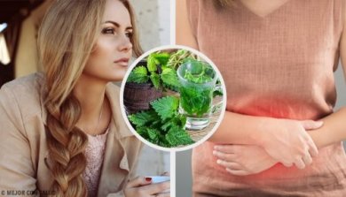 L'ortica: utilizzo e tutte le sue proprietà