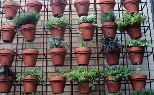 Orto in casa verticale