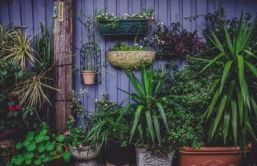 Orto in casa: 4 progetti (anche per chi ha poco spazio)