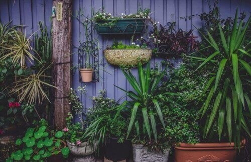 Orto in casa: 4 progetti (anche per chi ha poco spazio)