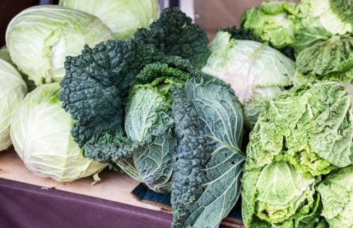 Kale o cavolo riccio