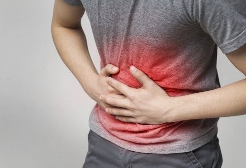 Calmare l'indigestione con 4 piante medicinali