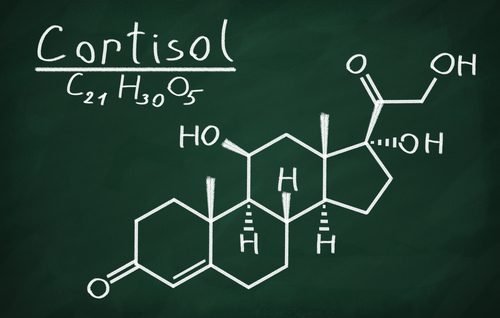 Formula del cortisolo