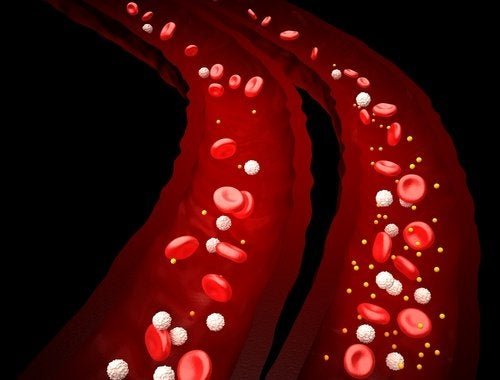 Acidosi metabolica e flusso sanguigno