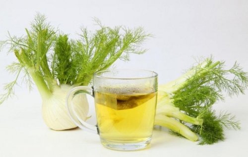 Infuso al finocchio