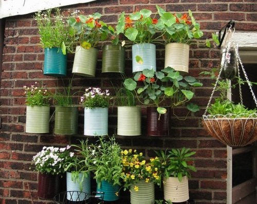 Creare un orto urbano sul balcone, piante in barattoli sospesi