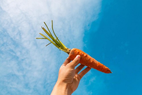 Virtu della carota.