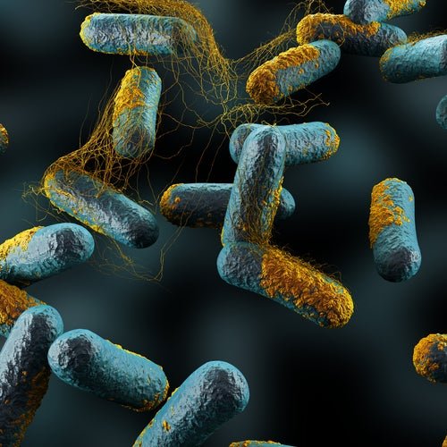 Il miele è pericoloso per i neonati a causa del batterio del botulismo