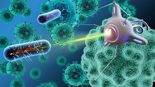 Nanomedicina e cellule