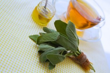 Curare tagli e graffi con salvia e miele