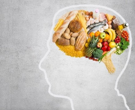 Quali grassi consuma il nostro cervello?