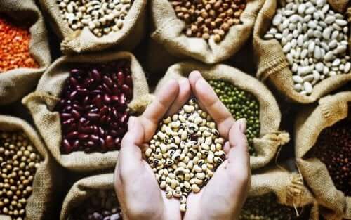 Mano che raccoglie dei fagioli ottimi per la alimentazione per gli sportivi vegani