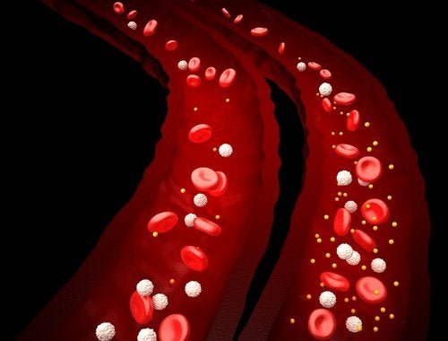 La schistosomiasi si diffonde attraverso il flusso sanguigno