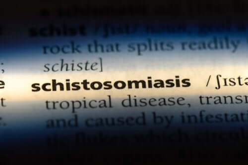 Schistosomiasi: cos'è e come si contrae