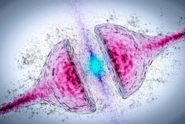 Donepezil: indicazioni e avvertenze