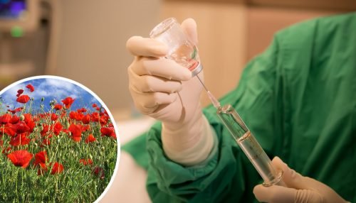 Somministrazione di morfina