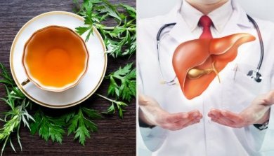 Proprietà dell'assenzio per la salute del fegato