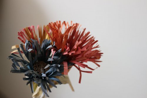 Fiori di carta