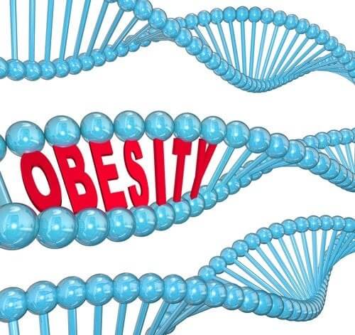 Il gene dell’obesità: cosa dice la scienza