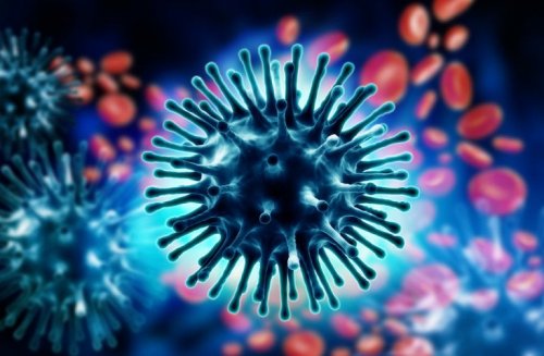 Virus della rinofaringite