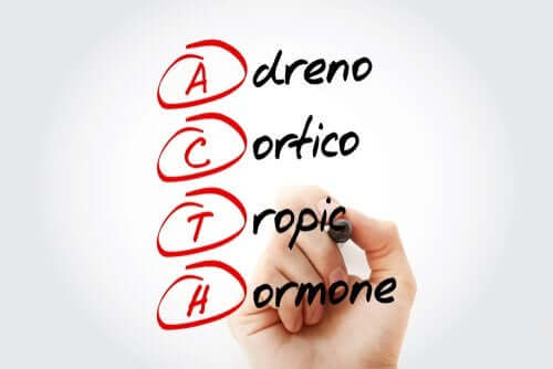 Corticotropina: che cos'è e come agisce?