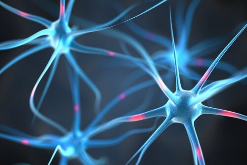Connessioni neuronali