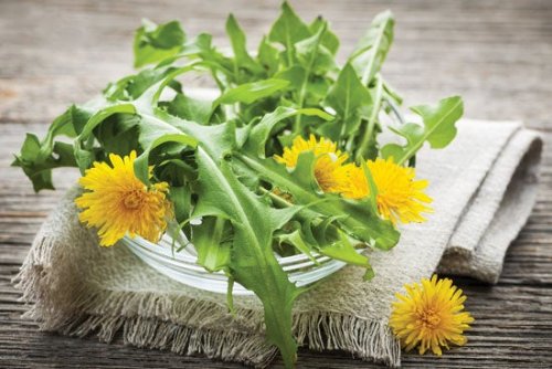 Fiori e foglie di tarassaco