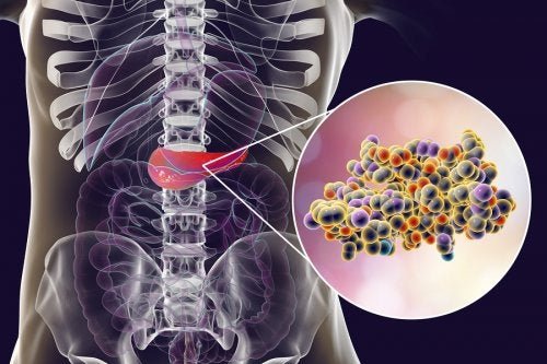 Insulina prodotta dal pancreas