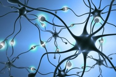 La neurogenesi: nascita di nuovi neuroni