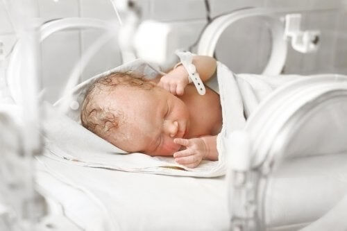 Gastroschisi: grave malformazione neonatale