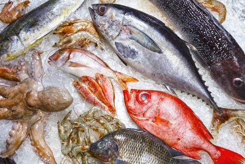 Pesce fresco