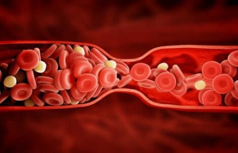 Atorvastatina e livelli di colesterolo nel sangue