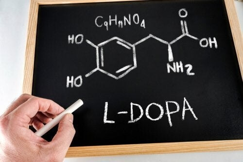 Levodopa, un farmaco per i malati di Parkinson