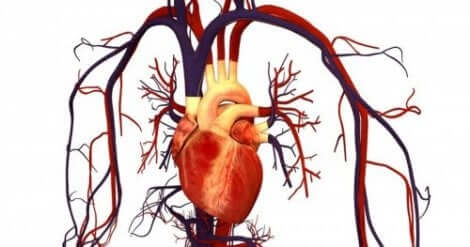 Atorvastatina per prevenire malattie cardiovascolari