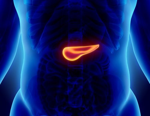La pancreatite acuta è un'infiammazione improvvisa del pancreas
